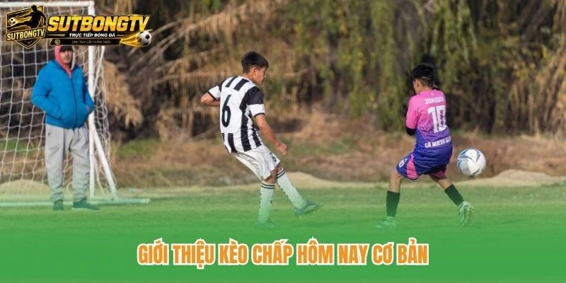 Giới thiệu kèo chấp hôm nay cơ bản