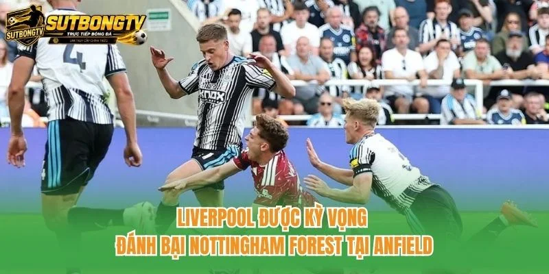 Liverpool được kỳ vọng đánh bại Nottingham Forest tại Anfield